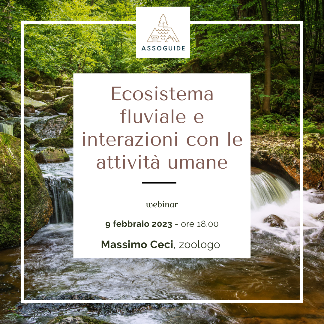 Assoguide