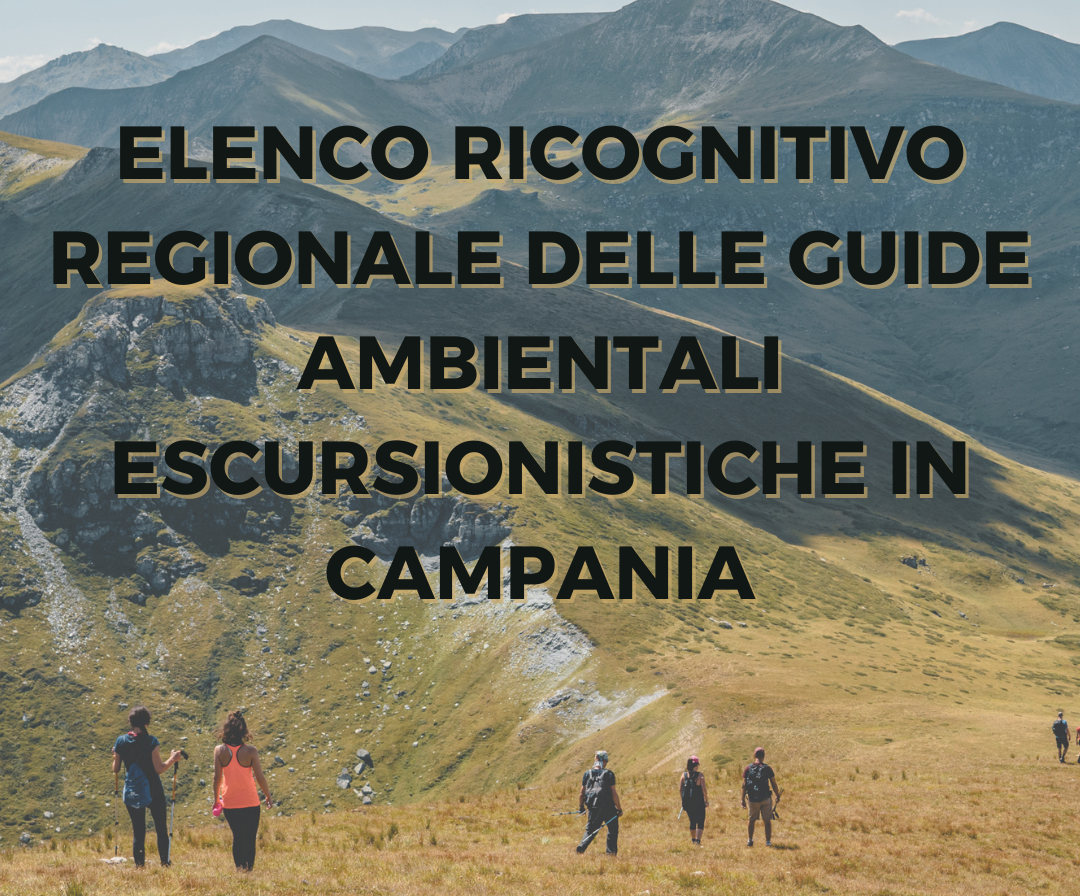 Assoguide